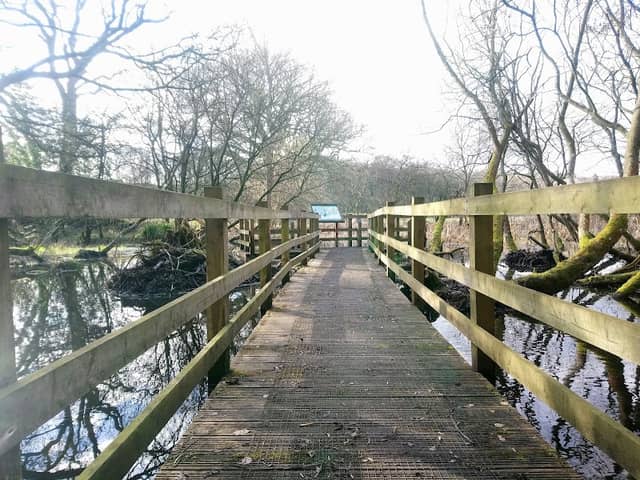 Shotley Grove Wetland - Image 1