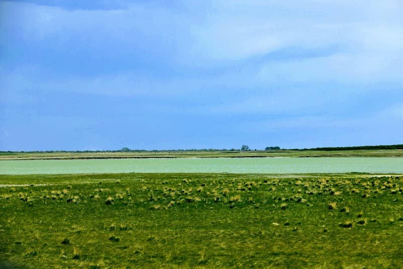 Freezout Lake Wildlife Management Area - Image 2