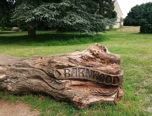 Barnwood Park and Arboretum - Image 1