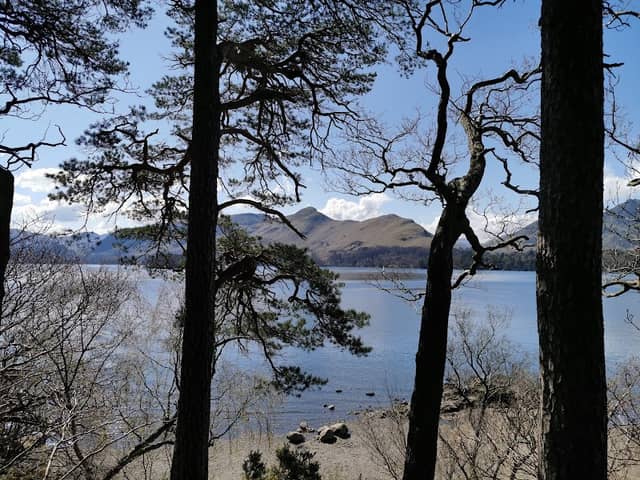 Friars Crag - Image 3