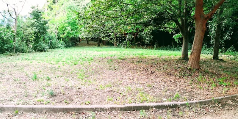 Park - Image 2