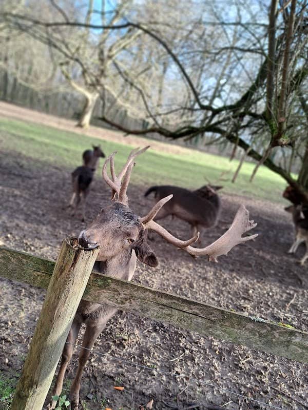 Park Bad Weilbach - Image 3