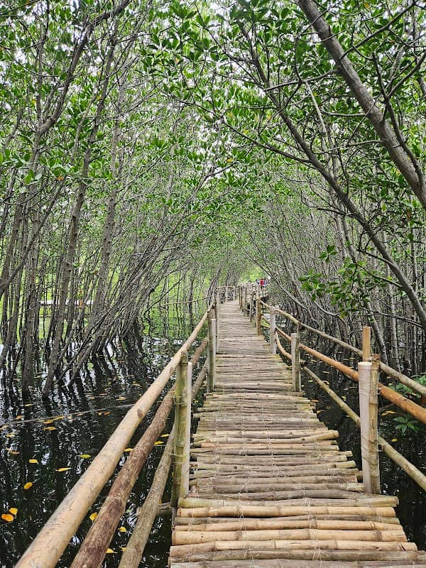 Mangrove Camp Sawi - Image 1