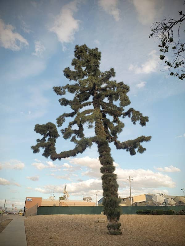 The Furry Tree - Image 1