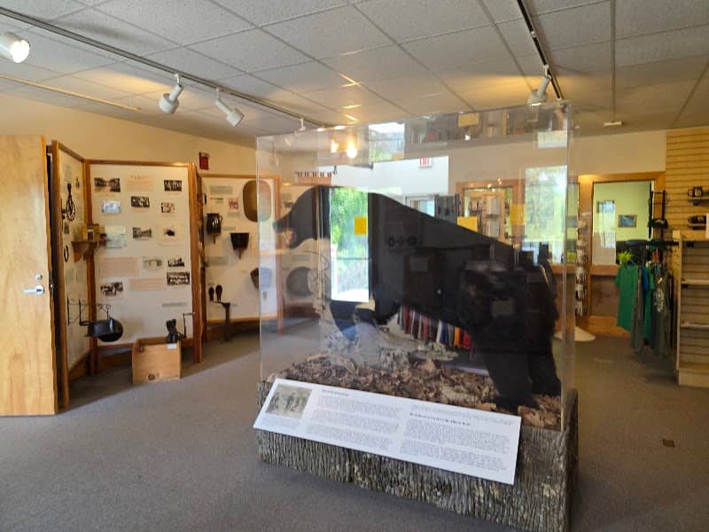 Stone Mountain State Park Visitor Center - Image 1