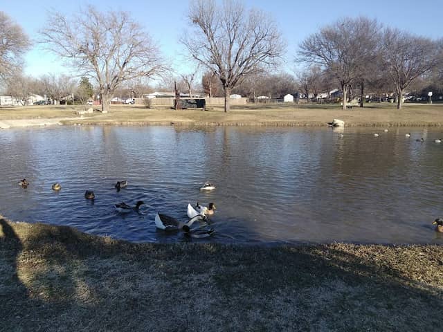Central Park - Image 2