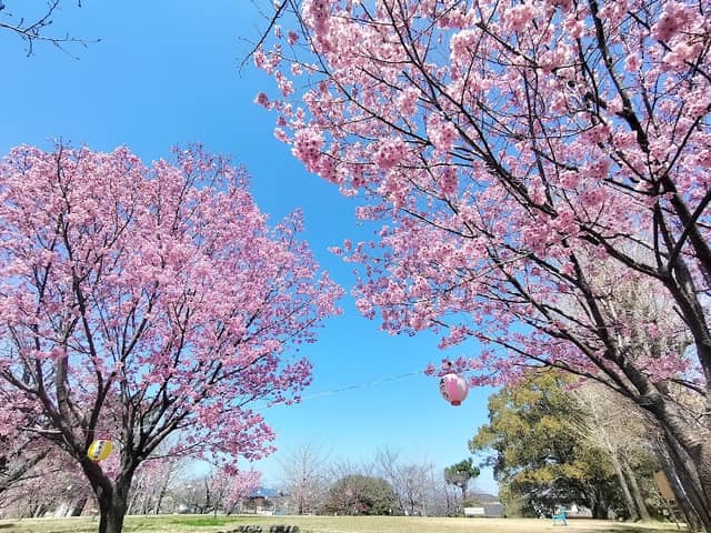 Washizuka Park - Image 1