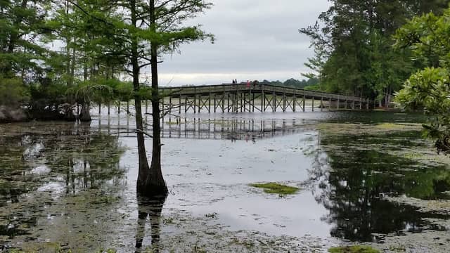 Martin Dies, Jr. State Park - Image 2