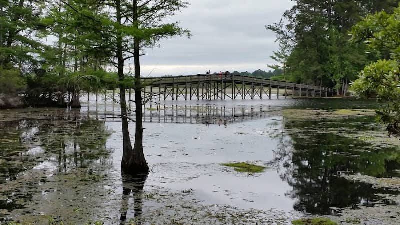 Martin Dies, Jr. State Park - Image 2