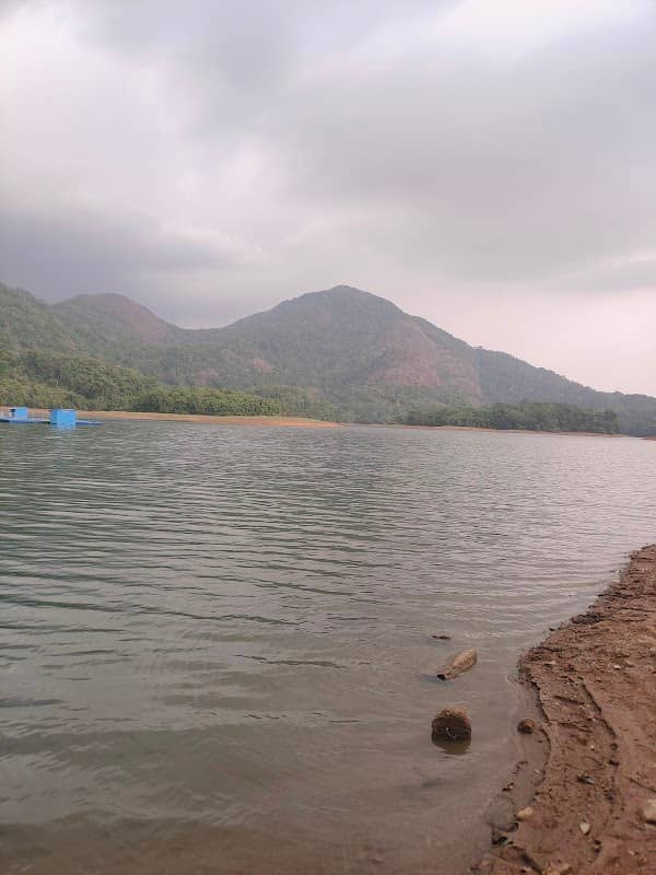 Amboori - Image 1