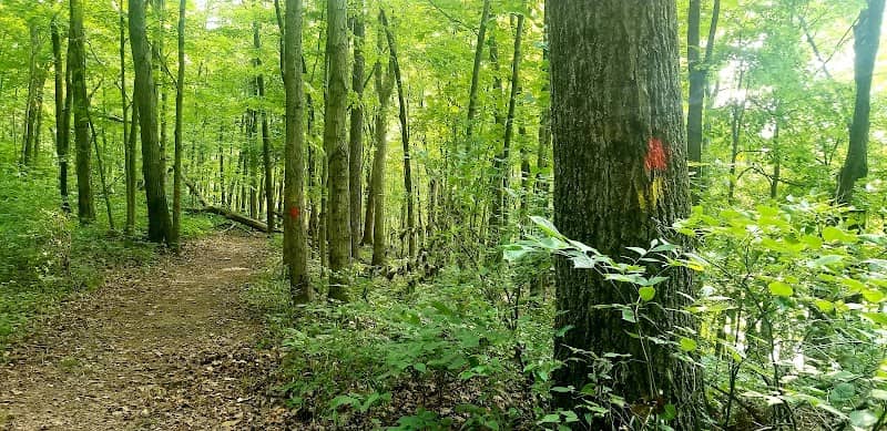 Bearcorn Trail Trailhead - Image 1