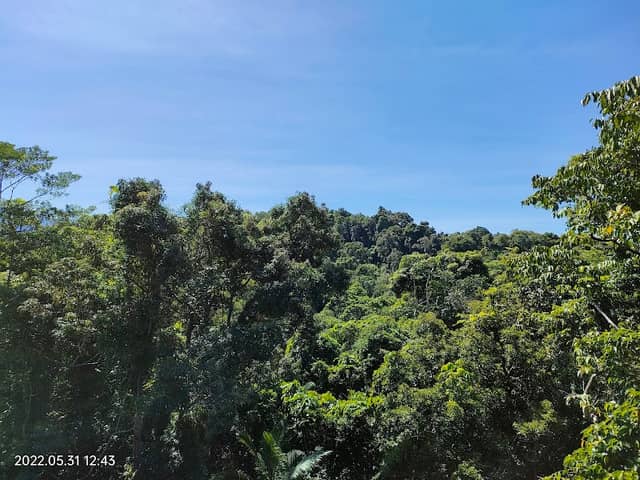 Jindalba Boardwalk - Image 2