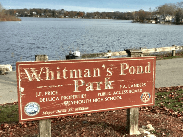 Whitman's Pond park - Image 1