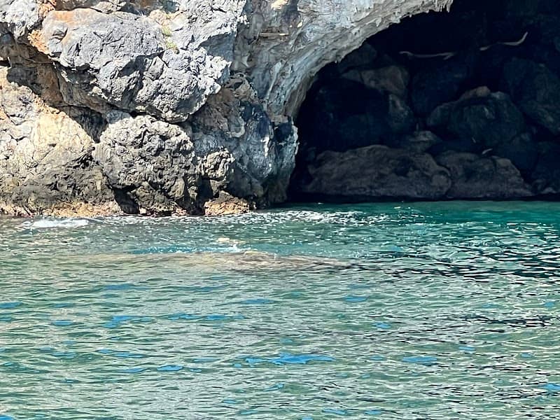 Cave 51 - Image 2