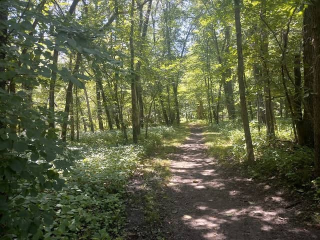 Katoski Greenbelt - Ranchero Rd Trailhead - North - Image 1