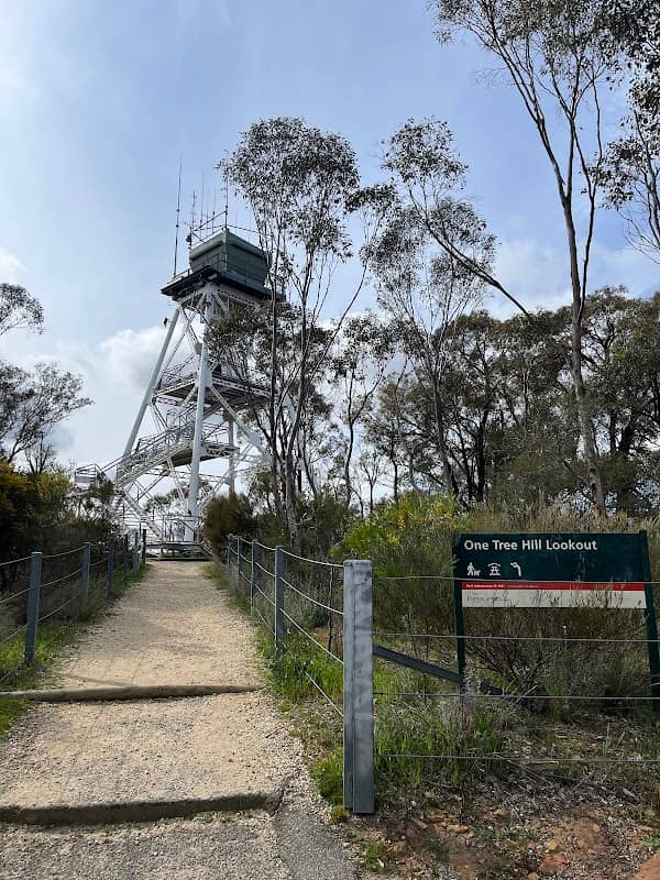 One Tree Hill Lookout Tower - Image 1