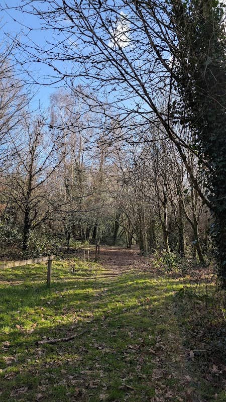 The Beeches - Image 1