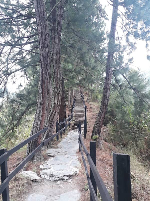 Combeima Canyon - Image 3