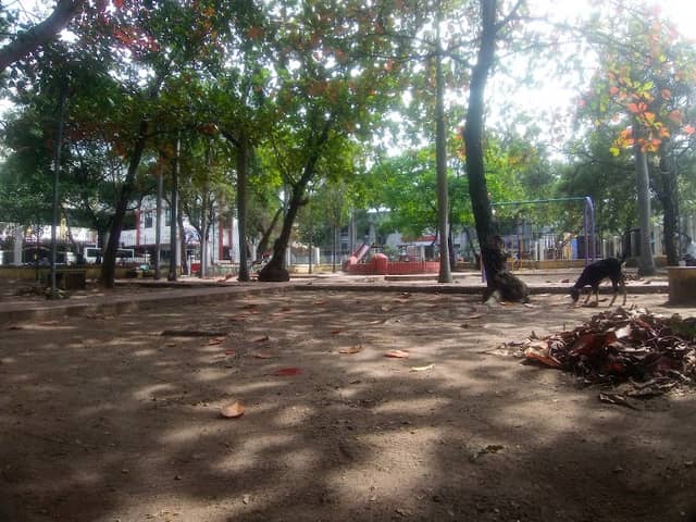 Jawaharlal Nehru park - Image 1