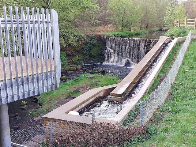 Limefield Falks - Image 1