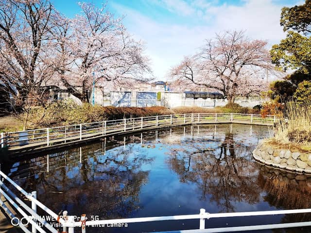 御手洗沼 - Image 1