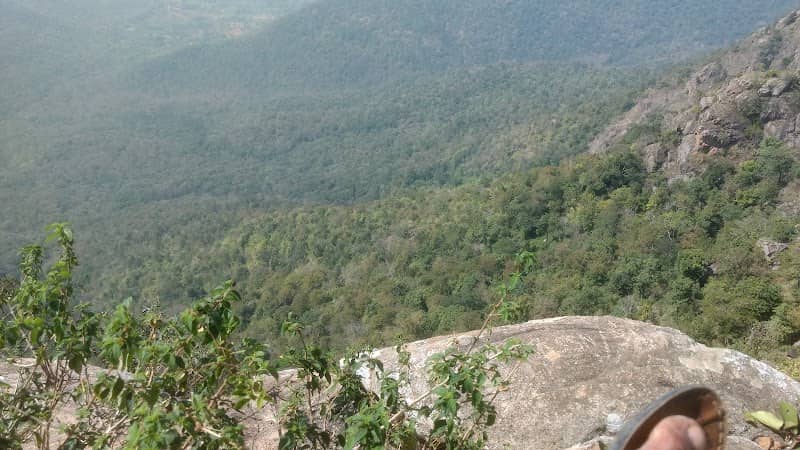 Krishnagiri Forest Area - Image 1