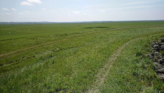 Cooling Marsh - Image 2