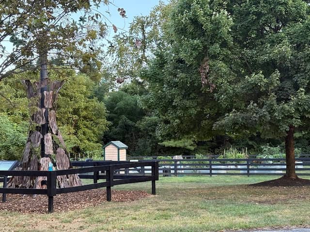 Friendship Park - Image 2