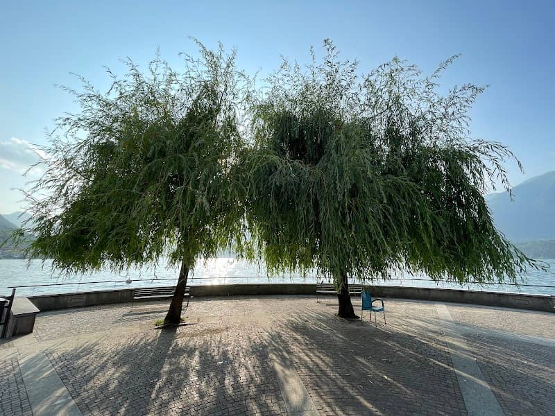 Località Cendraro Lago Viewpoint - Image 2