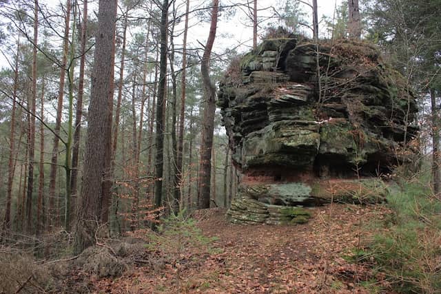 Saufels - Image 1