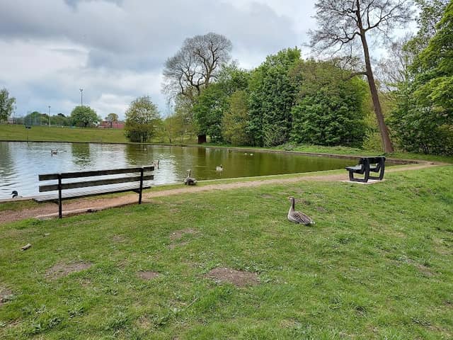 Berry Hill Park Lake - Image 2
