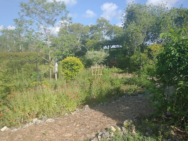 Crooked Garden - Image 1
