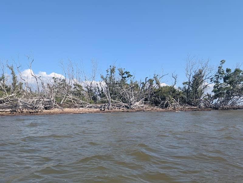 Isle del Gurulé - Image 3