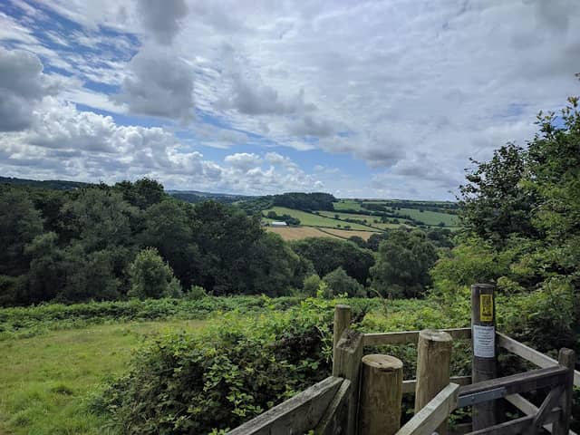 Halsdon Nature Reserve - Image 1