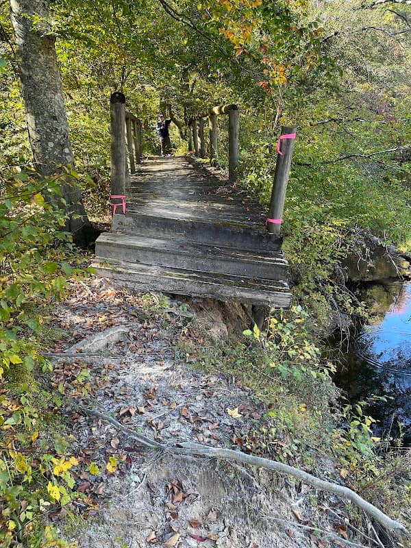 Zoar State Forest - Image 1
