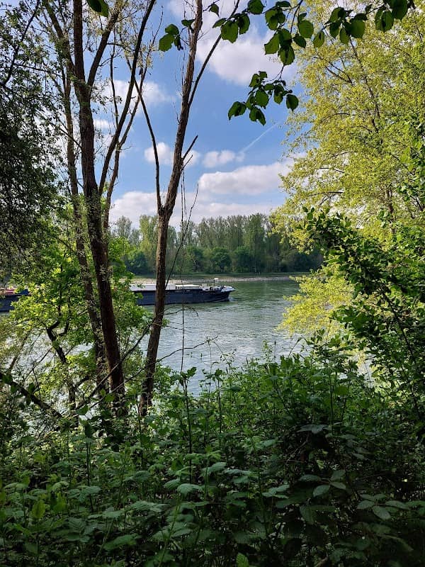 Rheindamm - Image 2