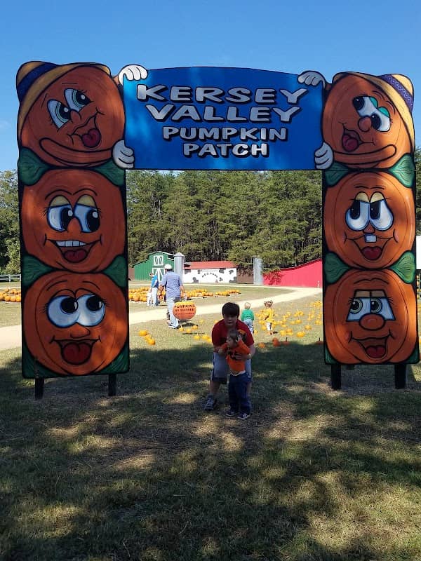 Kersey Valley SpookyWoods - Image 1