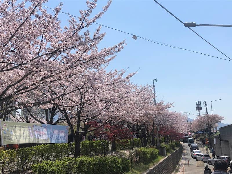 삼락생태공원 - Image 2