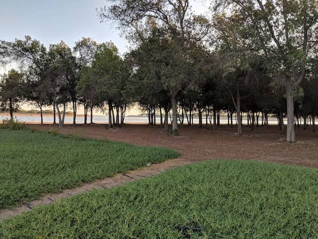 Public Park Al Khaleej Al Arabi - Image 1
