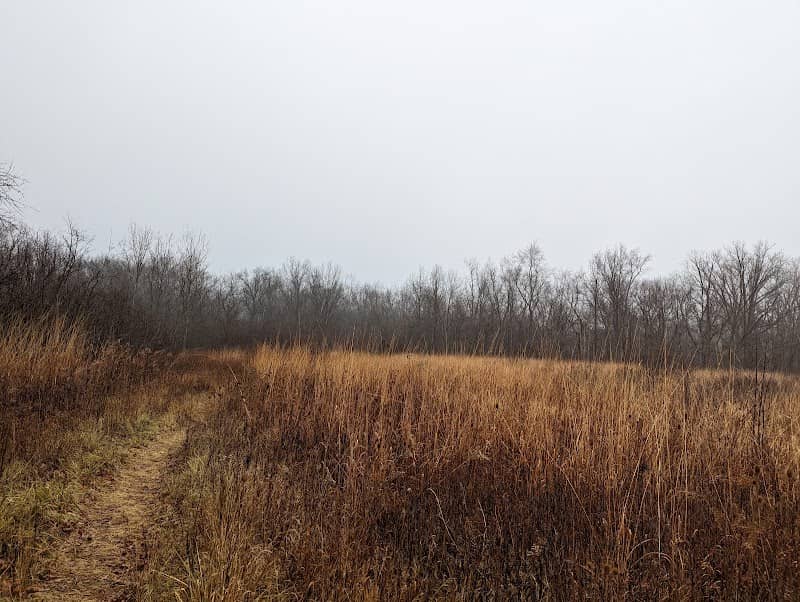 Randolph County Wildlife - Image 2