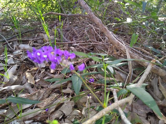 Vernallan Way Reserve - Image 2