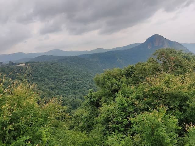 PulianCholai View tower - Image 1