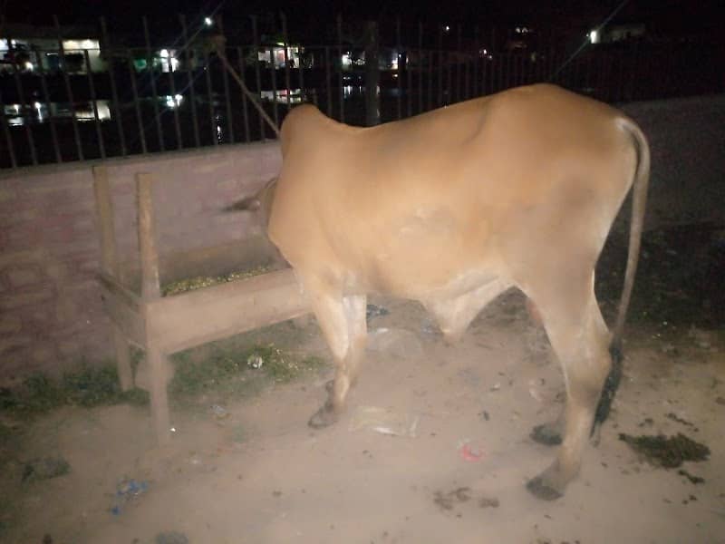 Madni Park - Image 1
