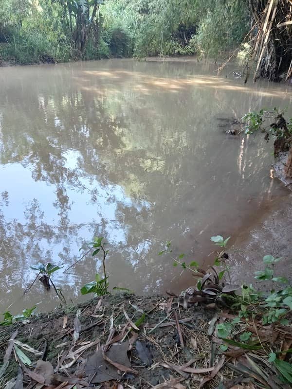 Spot garitel - Image 2