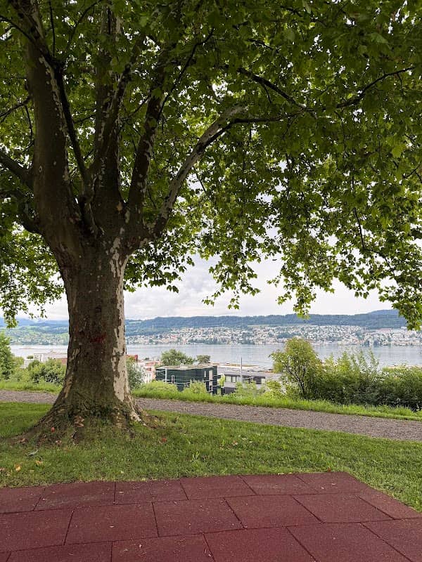 Teien Park - Image 1