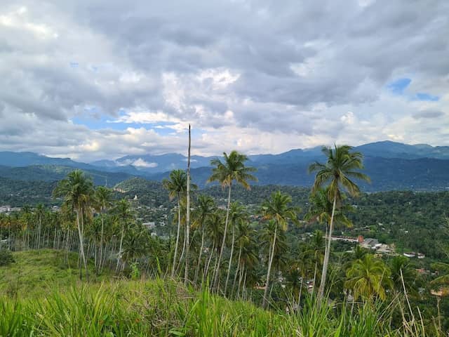 Dan's peak - Image 2