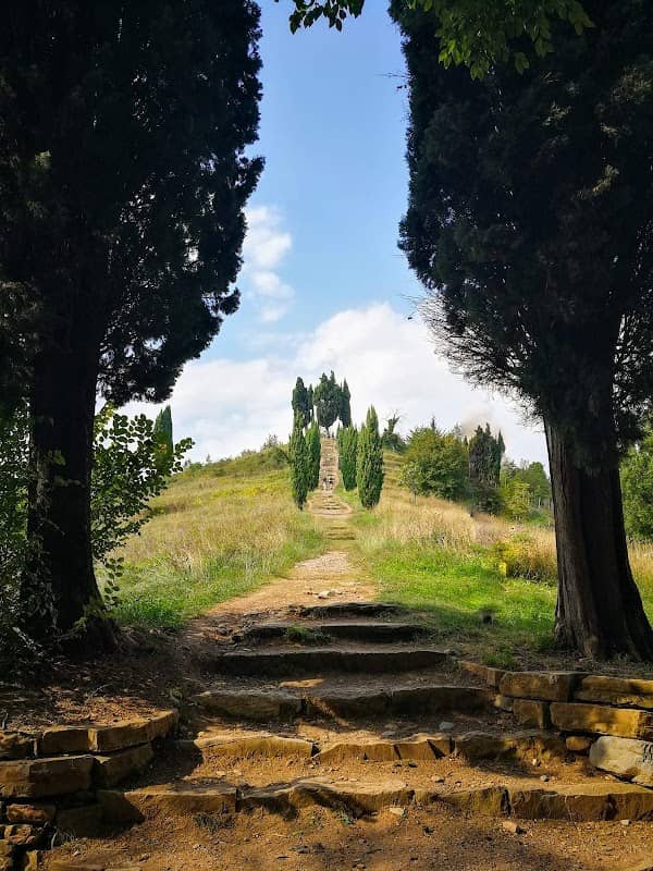 Collina dei cipressi - Image 3