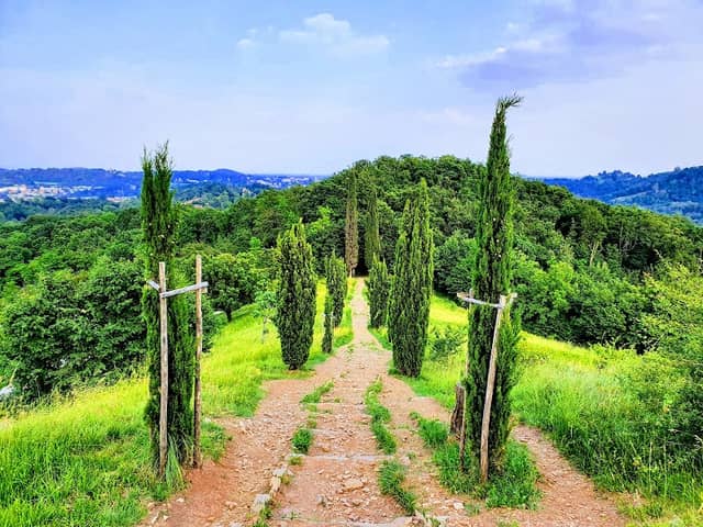 Collina dei cipressi - Image 2