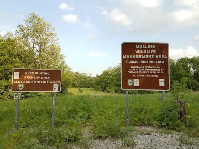 Mullins WMA - Image 2