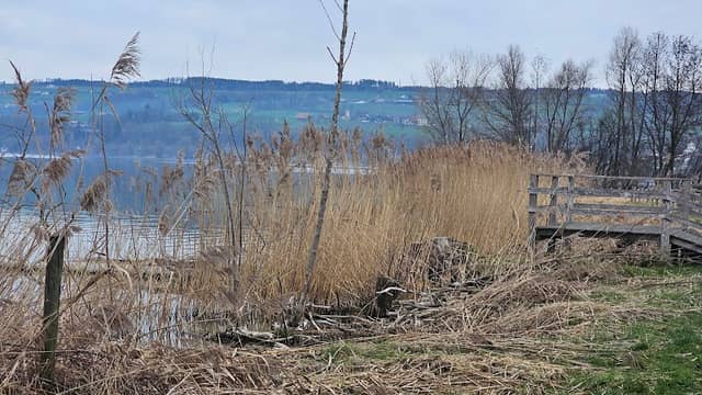 Aussichtsplattform Camping Sempach - Image 2